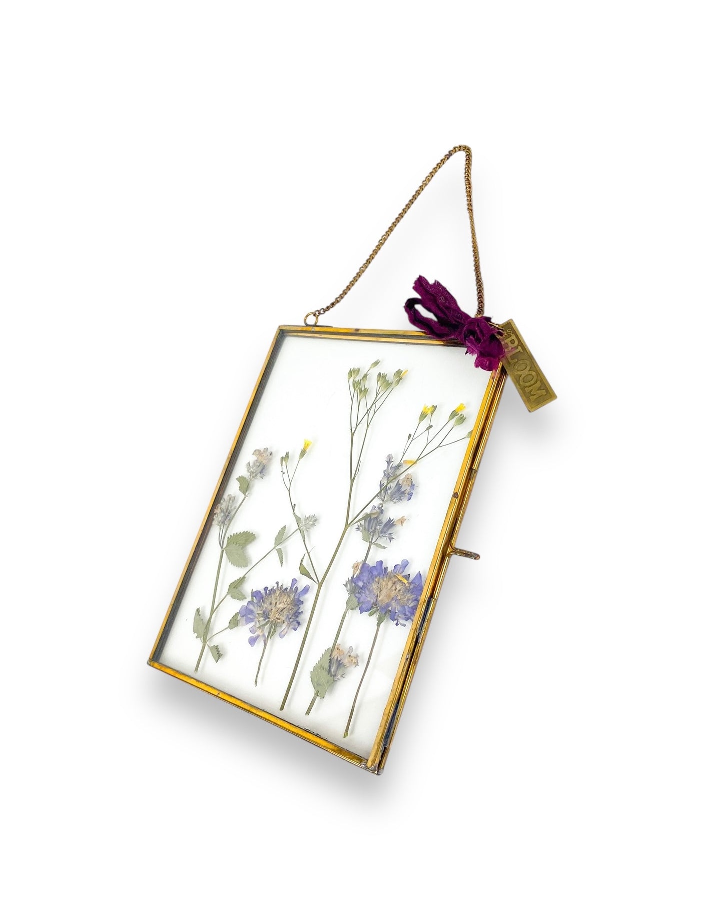 FRAME DRIED FLOWERS