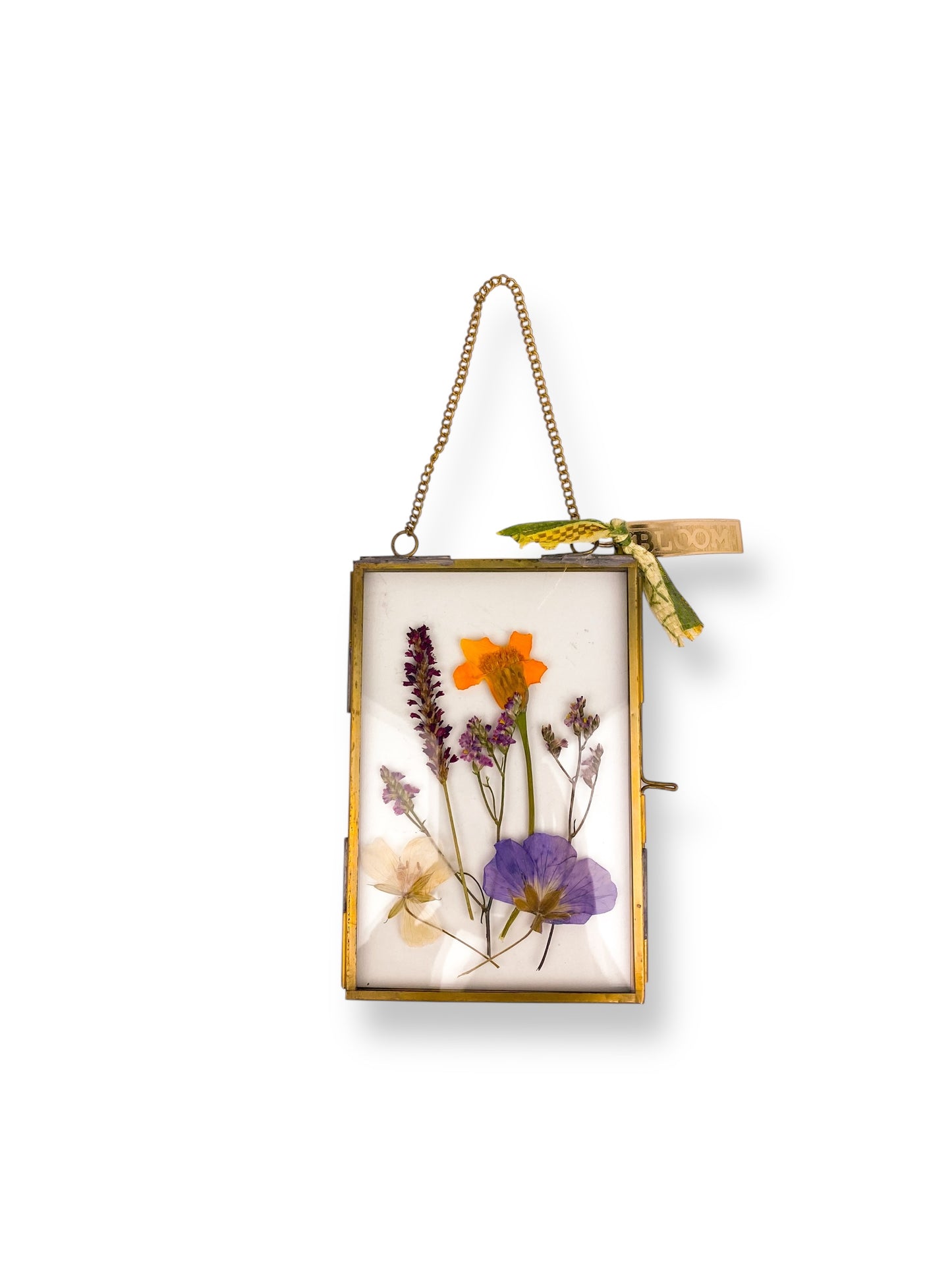 FRAME DRIED FLOWERS M