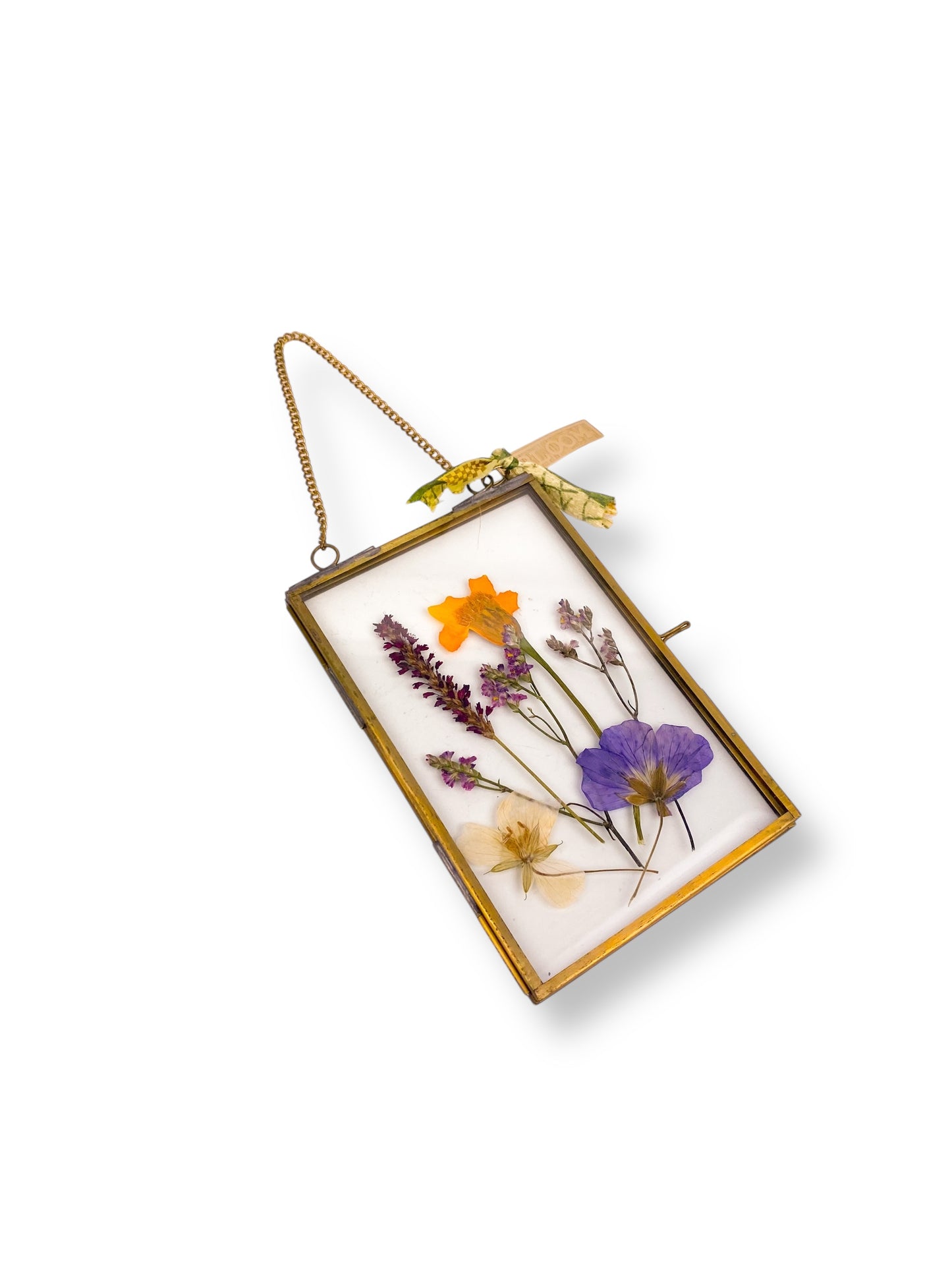 FRAME DRIED FLOWERS M