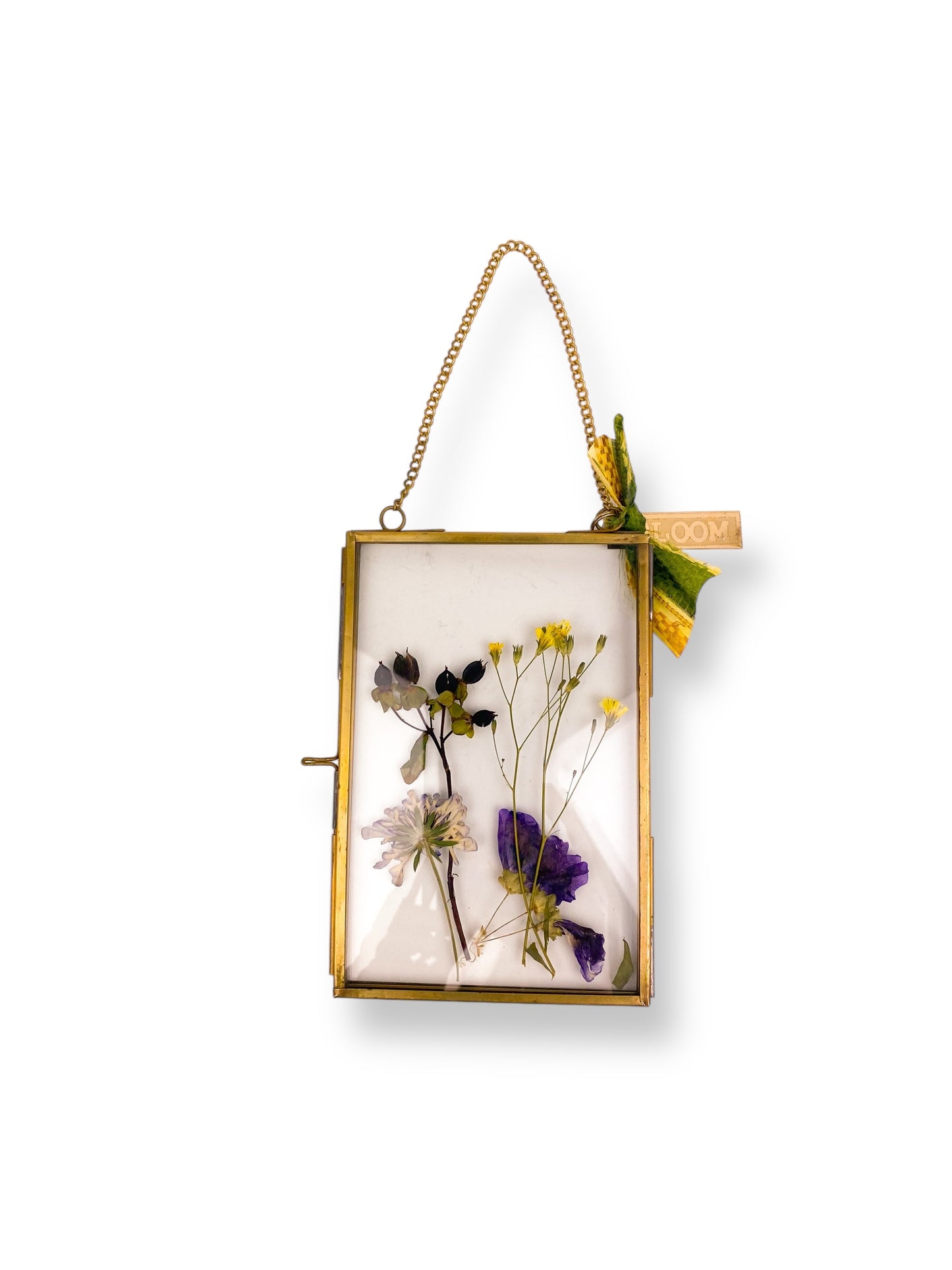 FRAME DRIED FLOWERS M