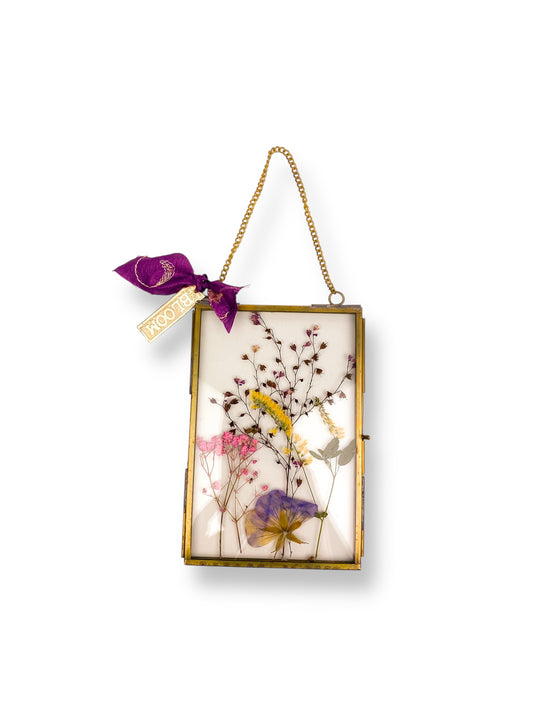 FRAME DRIED FLOWERS M