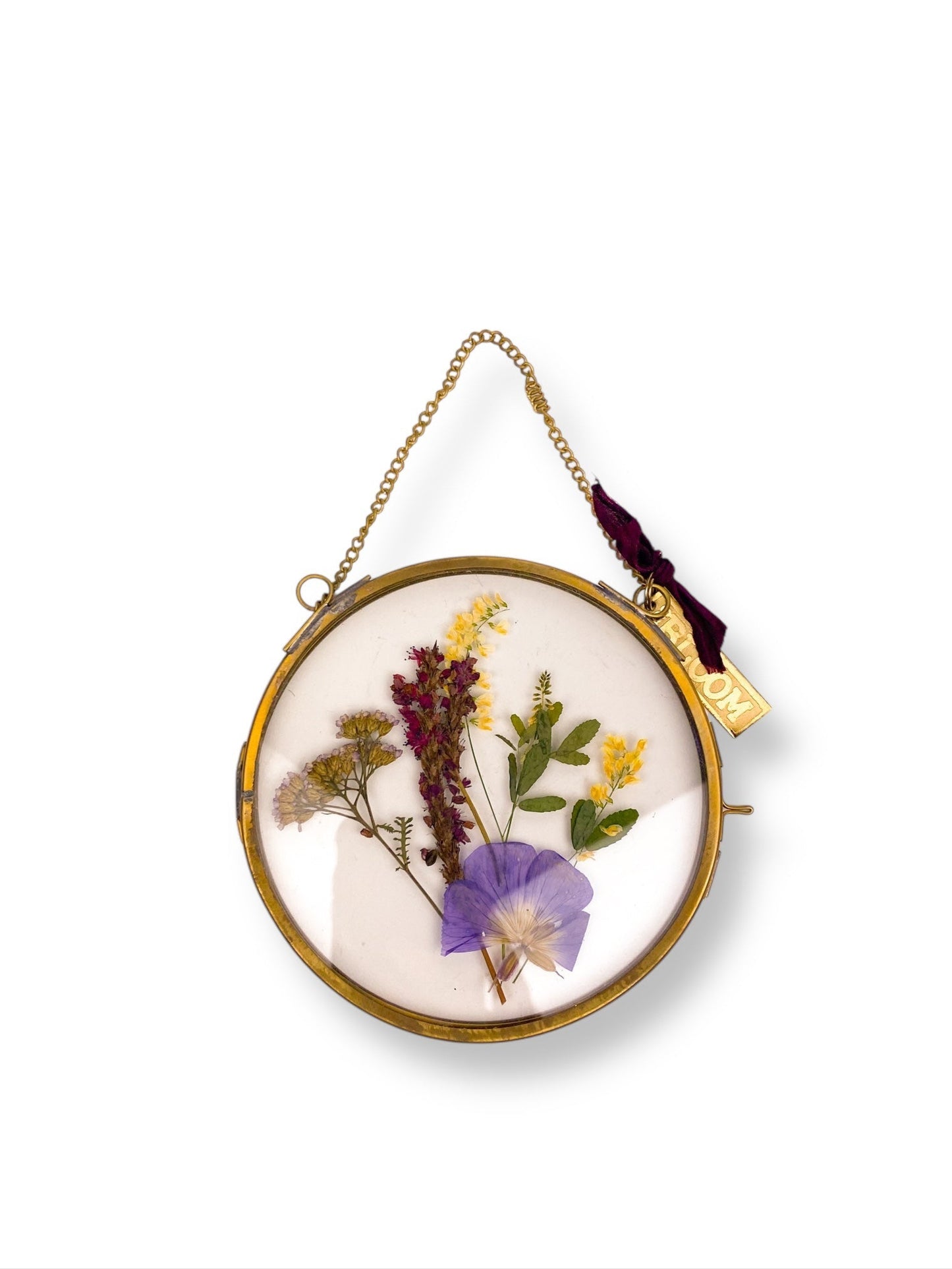 FRAME DRIED FLOWERS M