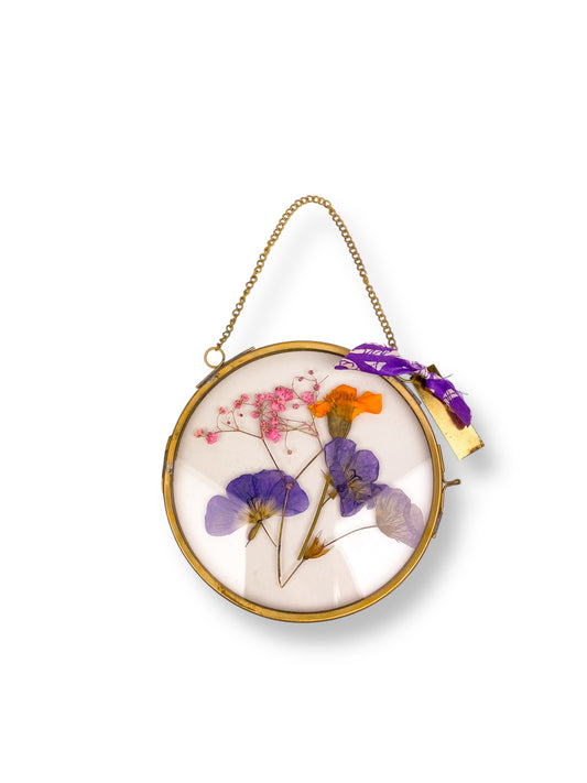 FRAME DRIED FLOWERS M