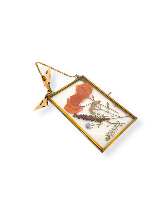 FRAME DRIED FLOWERS S