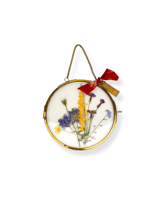 FRAME DRIED FLOWERS M