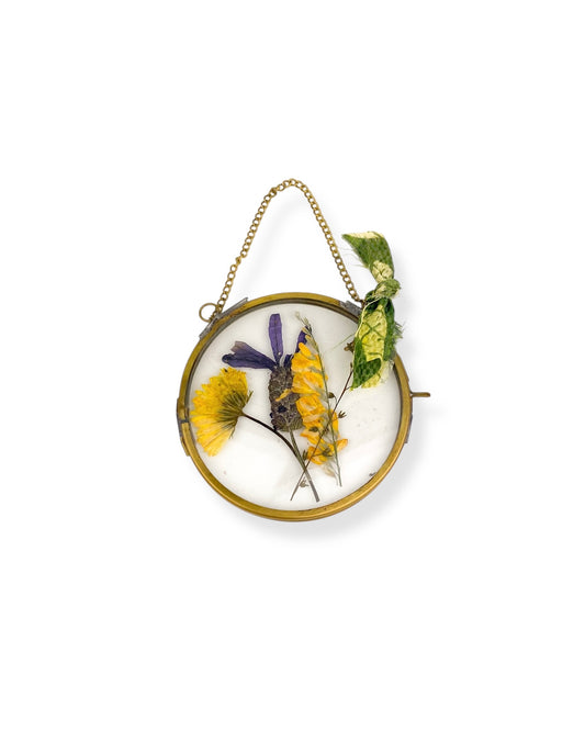 FRAME DRIED FLOWERS S