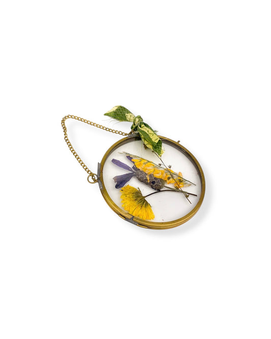 FRAME DRIED FLOWERS S